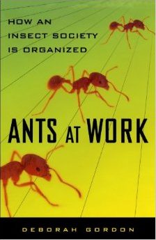 Ants At Work: How An Insect Society Is Organized