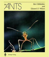 The Ants