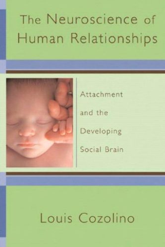 The Neuroscience of Human Relationships: Attachment And the Developing Social Brain (Norton Series on Interpersonal Neurobiology)