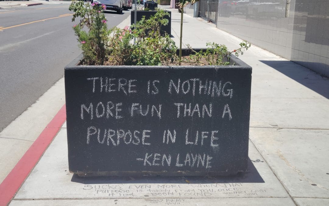 Get Curious